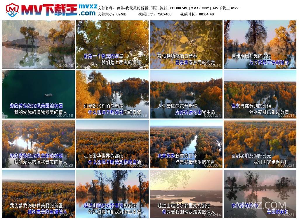 蒋莎-我最美的新疆_国语_流行_YEB00749